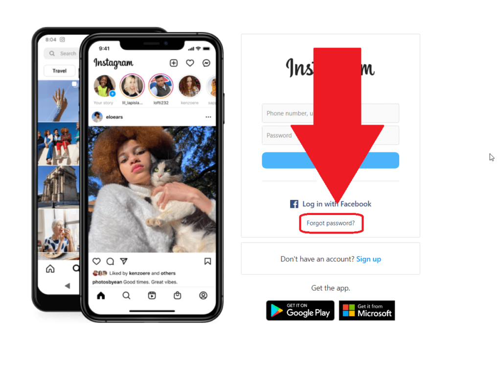 Instagram official website where the "Forgot password" option is highlighted and has a red arrow pointing to it