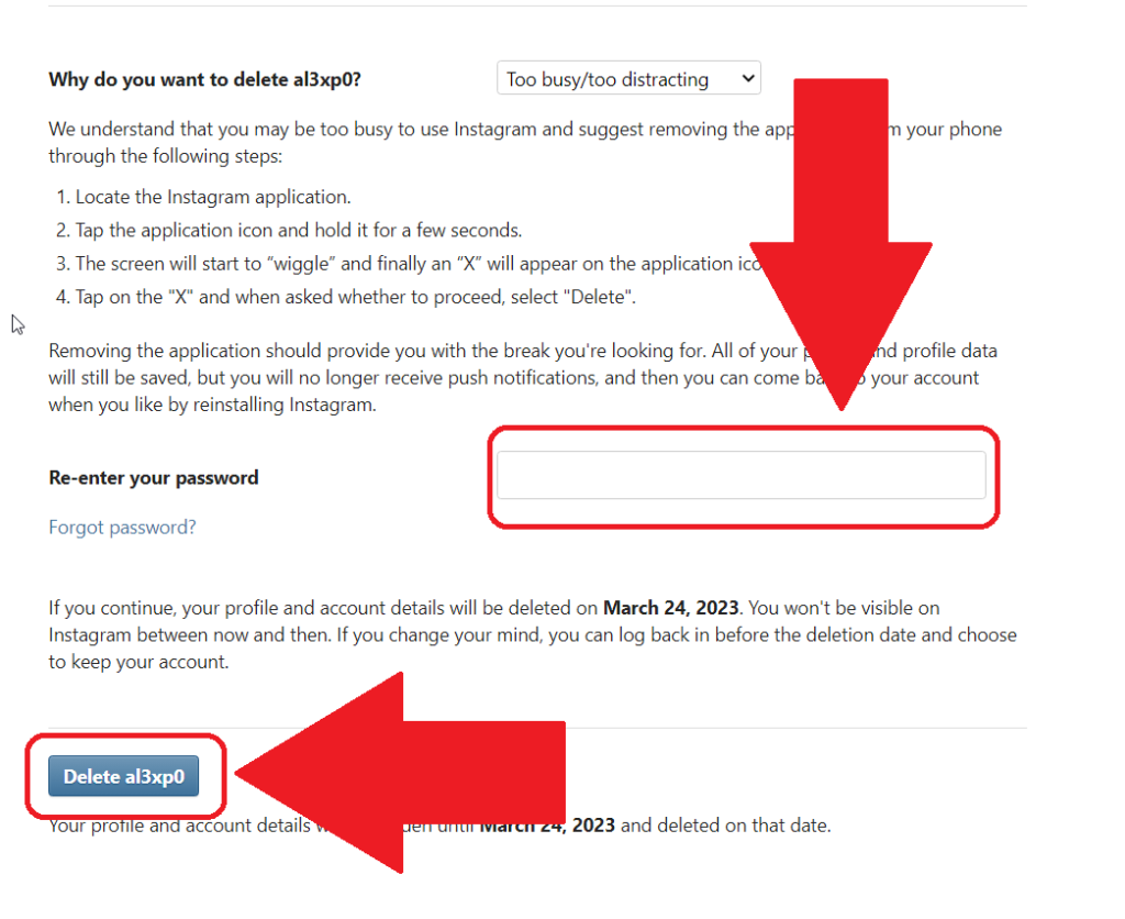 Instagram account deletion page where you can see the "Re-enter your password" field and the "Delete" button highlighted in red