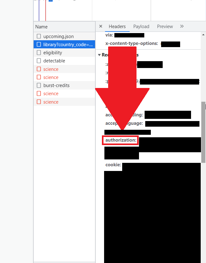 Google Chrome developer console where the "Authorization" entry is highlighted