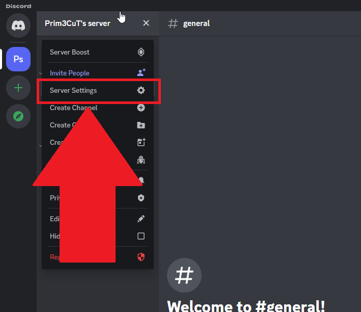 Discord server page showing the "Server Settings" option highlighted in red