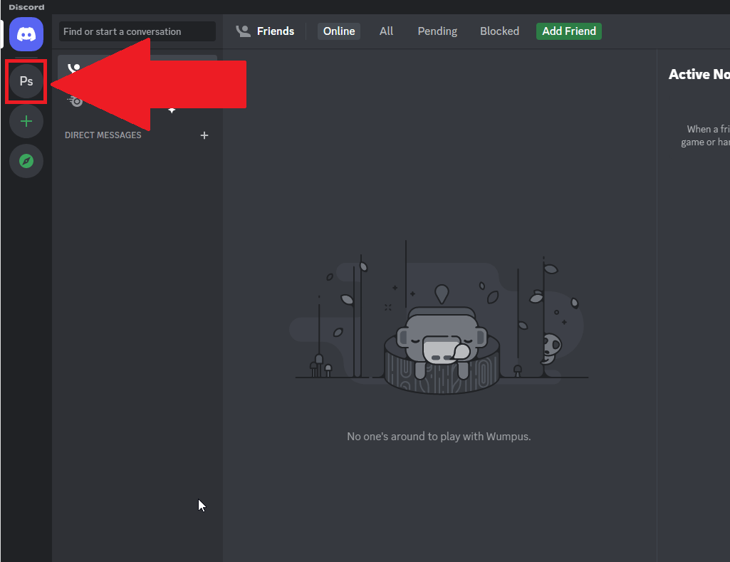 Discord main window showing my server's icon highlighted in the left-hand side menu