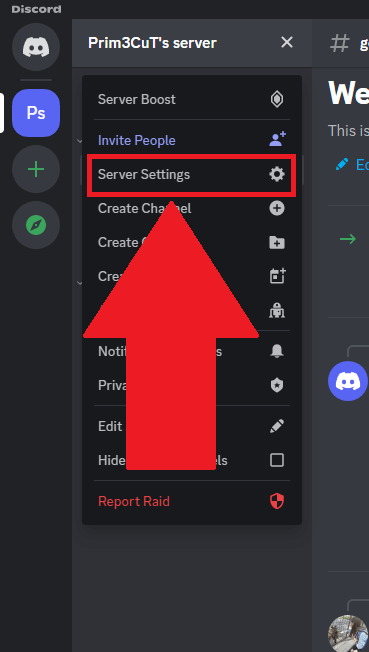 Discord settings menu showing the "Server Settings" option highlighted in red