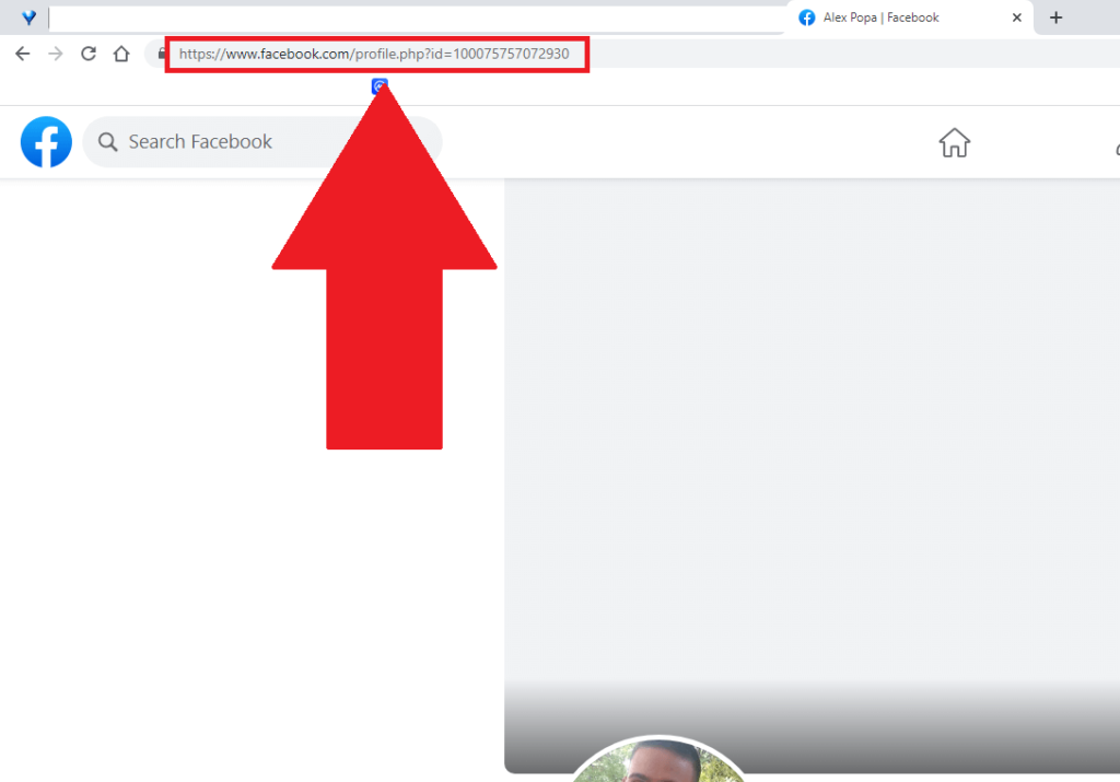 Facebook profile page showing the URL highlighted in the top-left corner of the internet page