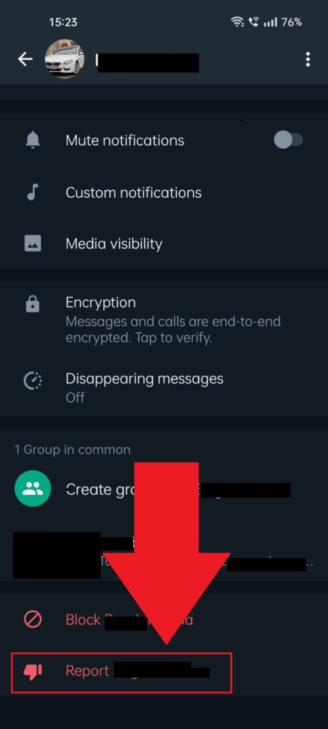 WhatsApp user profile page where the "Report" option is highlighted in red and has a red arrow pointing to it
