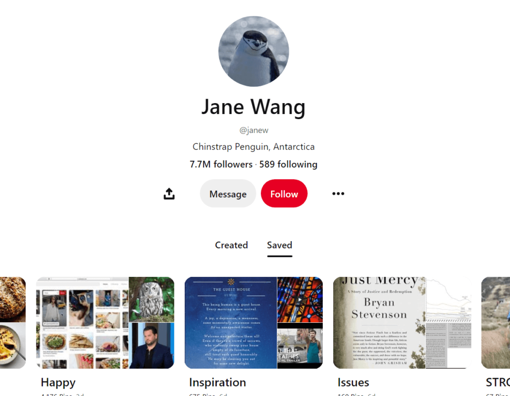 Jane Wang's profile page on Pinterest
