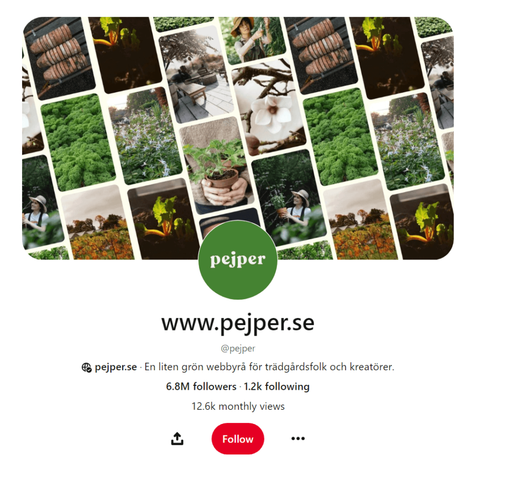 Pejper's profile page on Pinterest