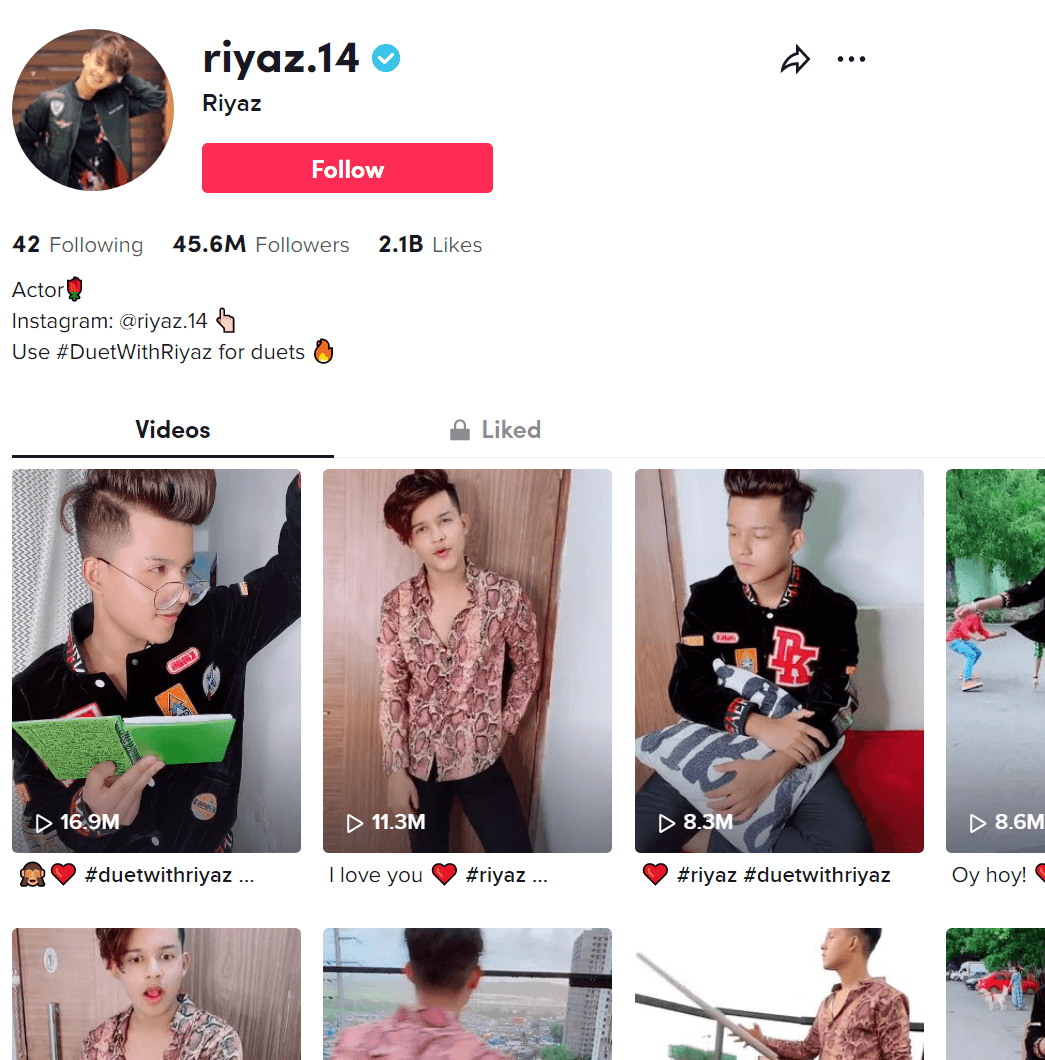 Riyaz Aly's official TikTok profile page