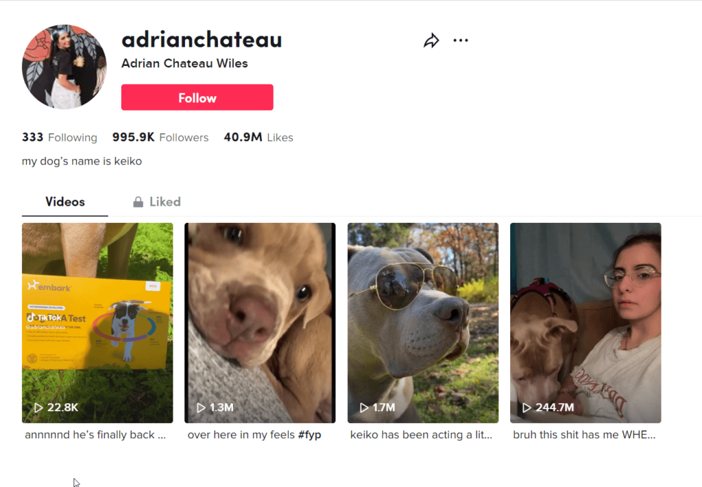 Adrian Chateau Wiles' official TikTok page
