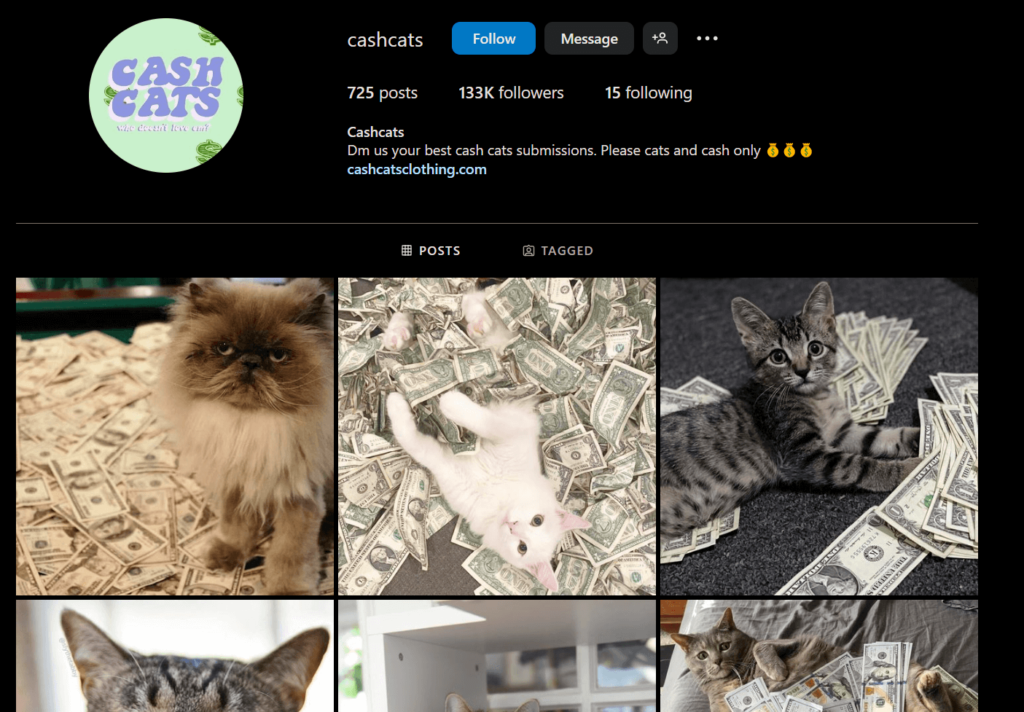 cashcats' official Instagram page